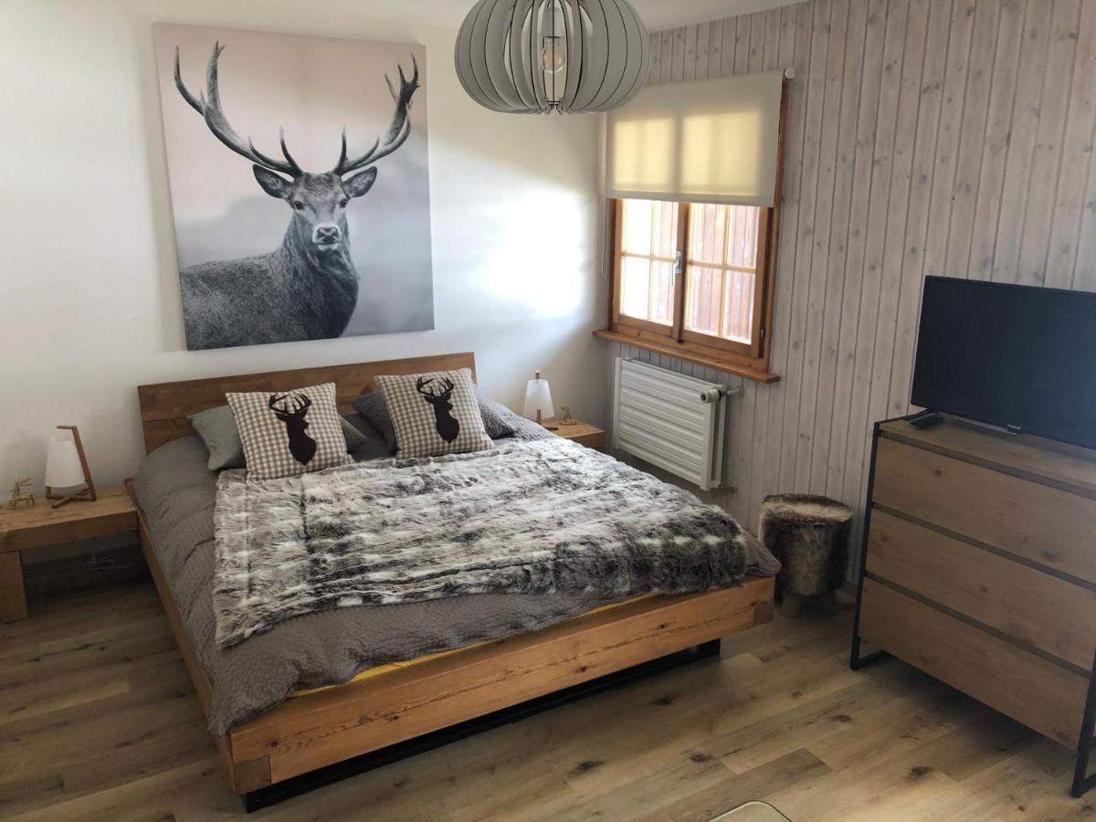 Le Cerf, Magnifique Avec Jardin-terrasse Et Garage *