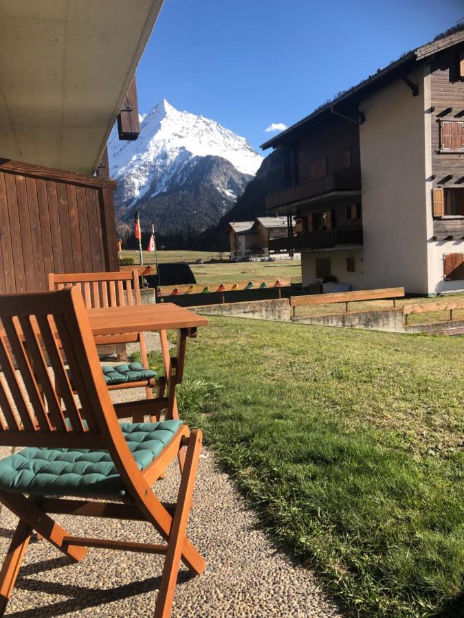 Le Cerf, Magnifique Avec Jardin-terrasse Et Garage *